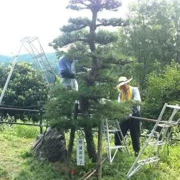 韩国新乡村运动_韩国新村运动取得成功的原因_韩国新村运动