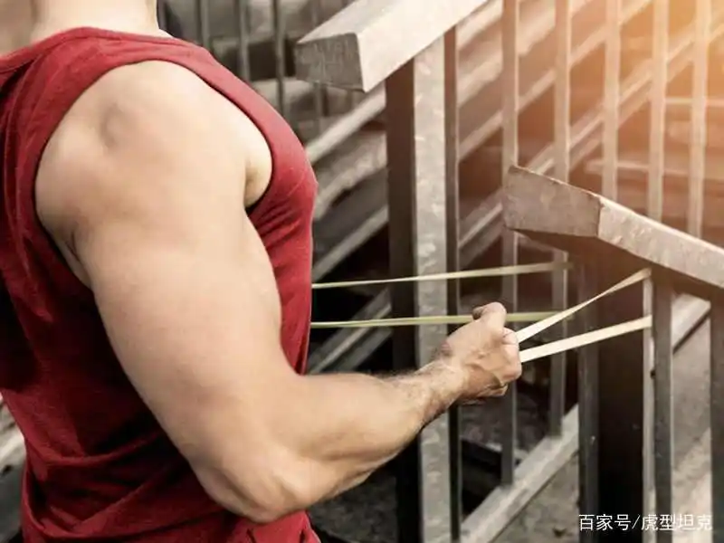 等长运动训练_等长运动又称动力运动_等长运动
