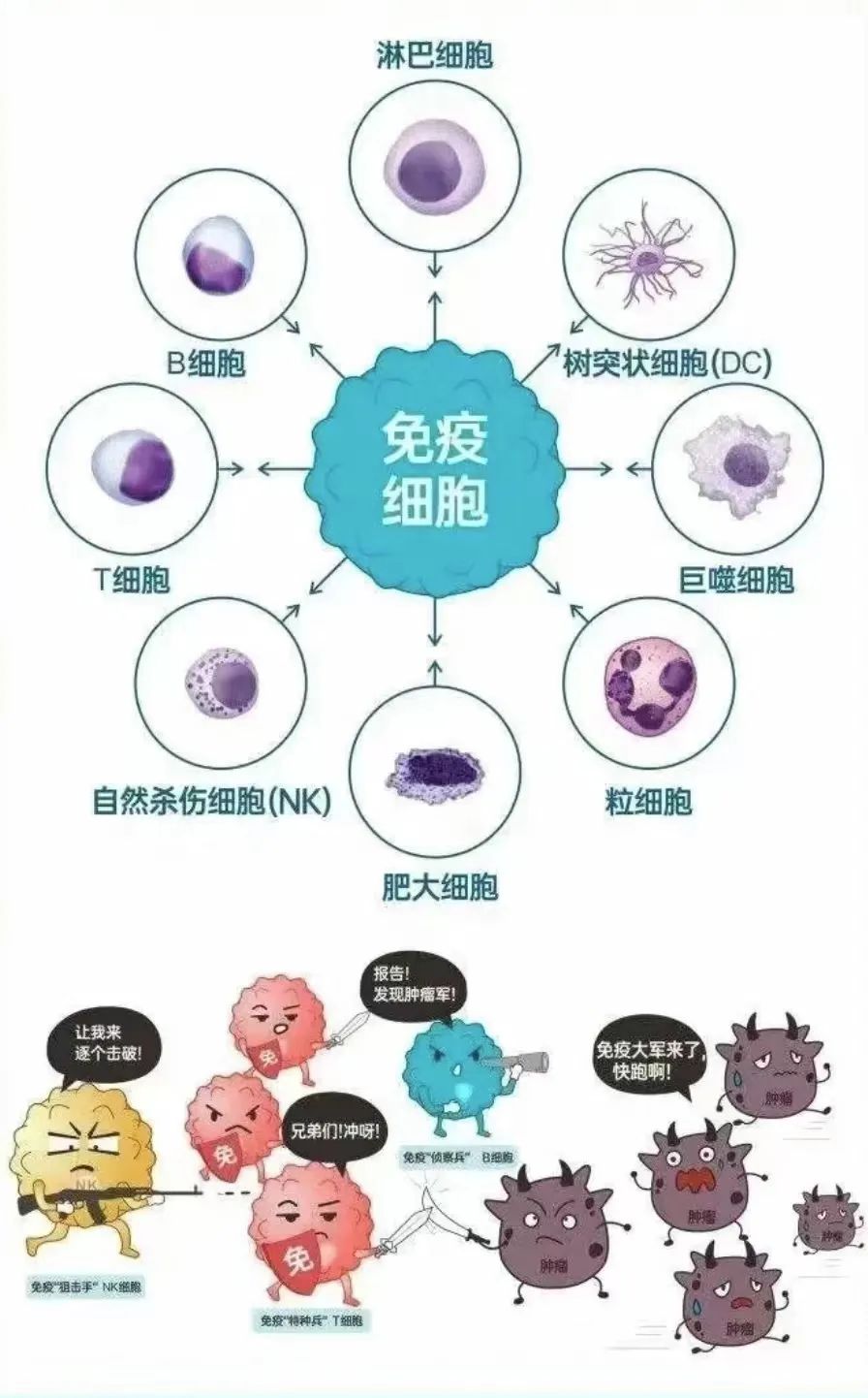 亚健康发展阶段_简述亚健康状态构成的四大要素_亚健康阶段