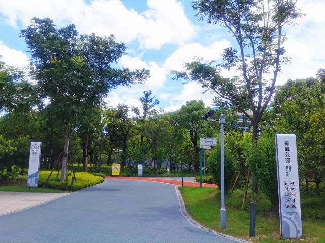 14ae8fb5891045438156fbb3965604ad~noop.webp.png