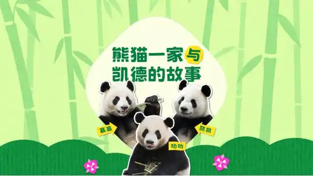 垂直马拉松比赛_马拉松垂直振幅_垂直马拉松