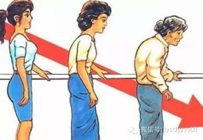 运动氧供应与代谢_有氧代谢运动_有氧运动代谢产物