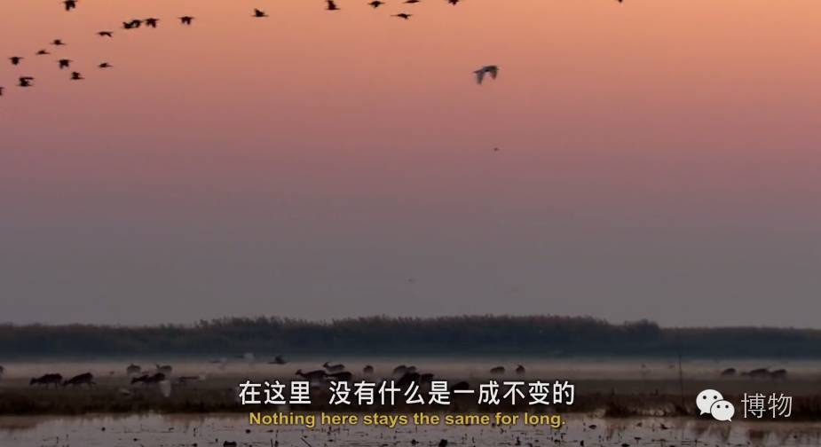 世界最长马拉松_最长的马拉松_最长马拉松跑多少时间