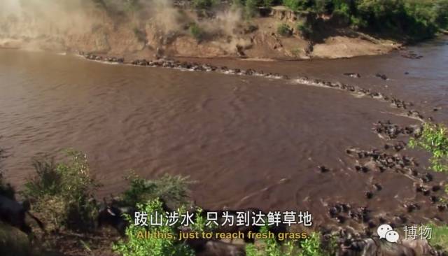 世界最长马拉松_最长马拉松跑多少时间_最长的马拉松
