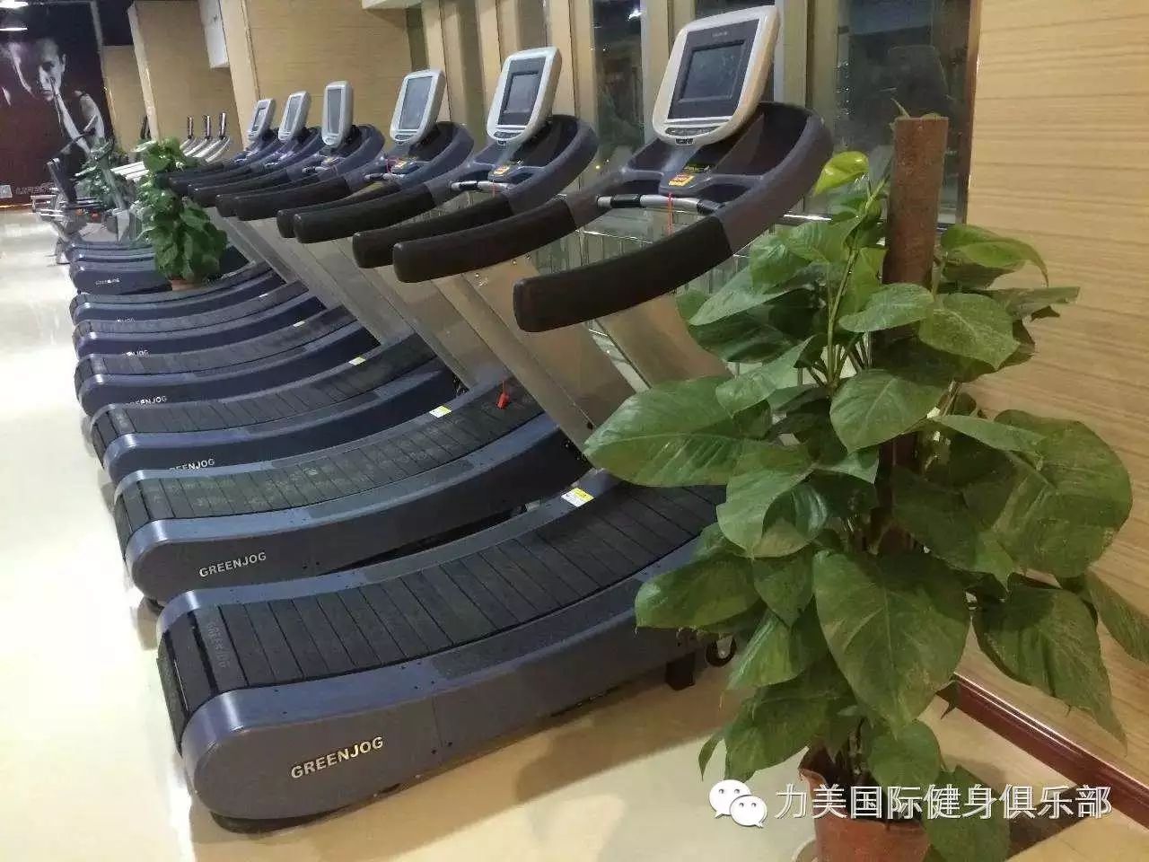 力美健健身_力美健身房怎么样_力美健身
