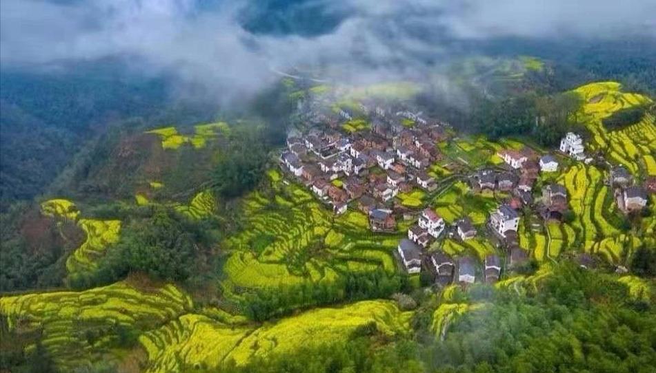 婺源国际马拉松_2020年婺源国际马拉松报名_江西婺源马拉松官网2019