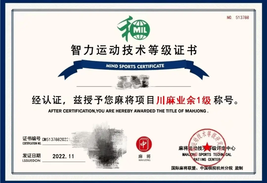 麻将运动会规则_麻将运动会中合理的策略有_麻将运动会