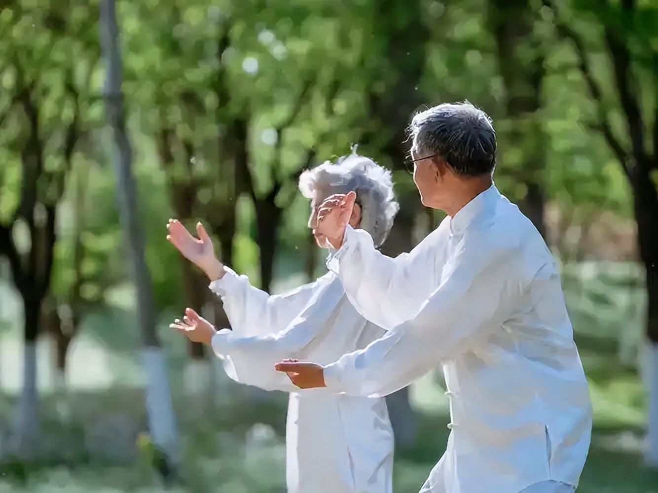 对运动的理解_运动理解成本性的实现过程_运动道理